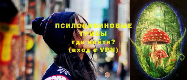 круглые Абаза