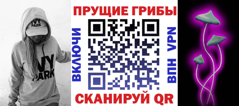 Галлюциногенные грибы MAGIC MUSHROOMS  как найти закладки  Балахна 