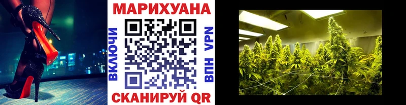 Шишки марихуана план  МЕГА онион  Балахна 
